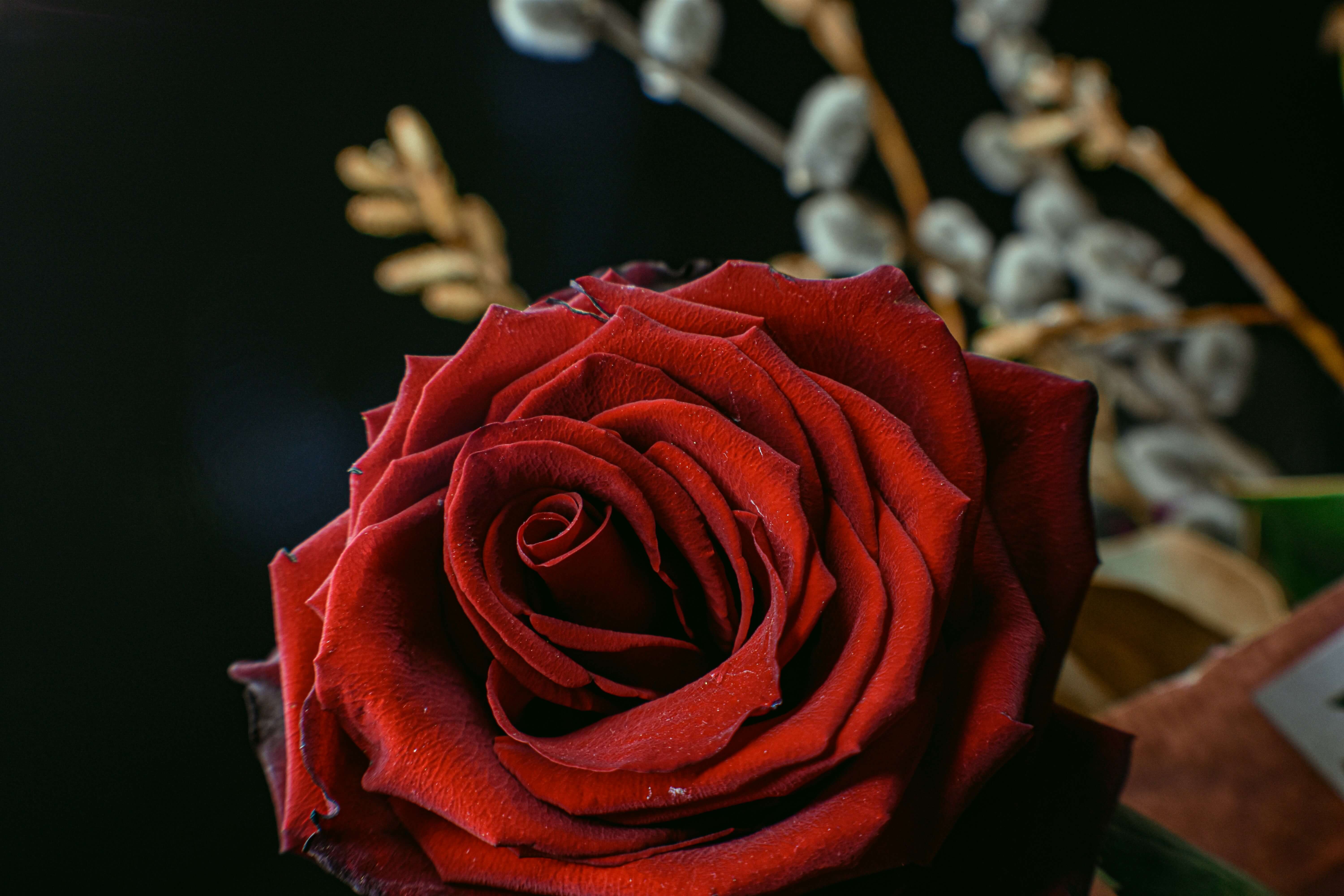 a red rose in a bouquet of flowers