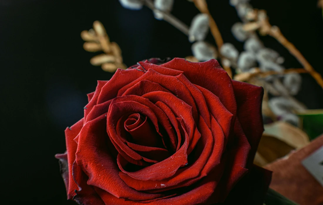 a red rose in a bouquet of flowers